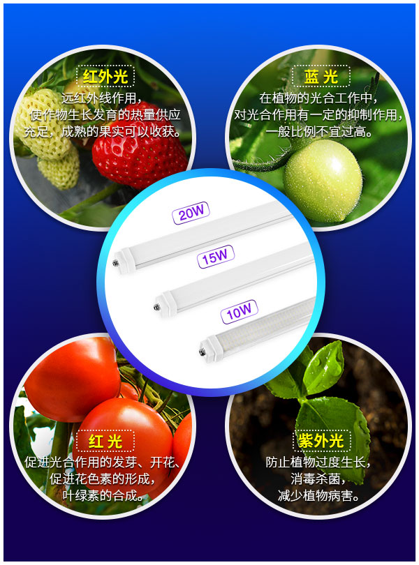 LED线性灯管可连接设计 IP65防水高室内植物LED生长灯