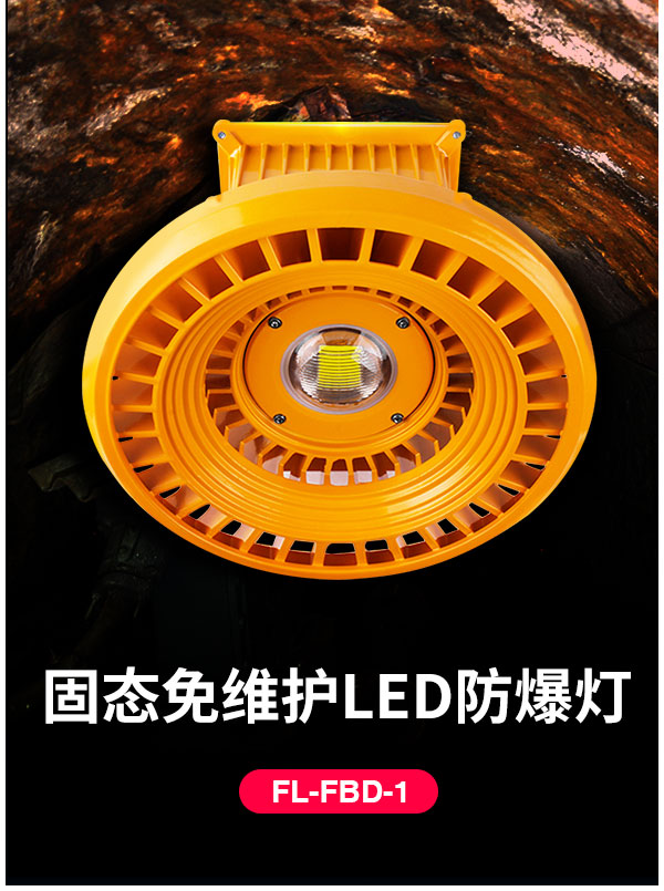 中山菲龙批发工矿led防爆灯 天然气站加油站 60w 100瓦 煤矿灯照明灯