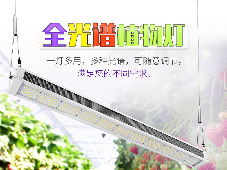 全光谱LED植物灯 家庭园艺 植物工厂大麻专用灯