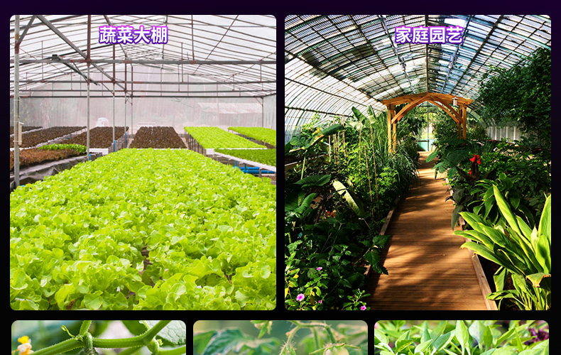全光谱LED植物灯 家庭园艺 植物工厂大麻专用灯