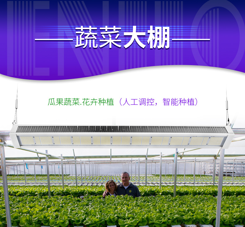 全光谱LED植物灯 家庭园艺 植物工厂大麻专用灯
