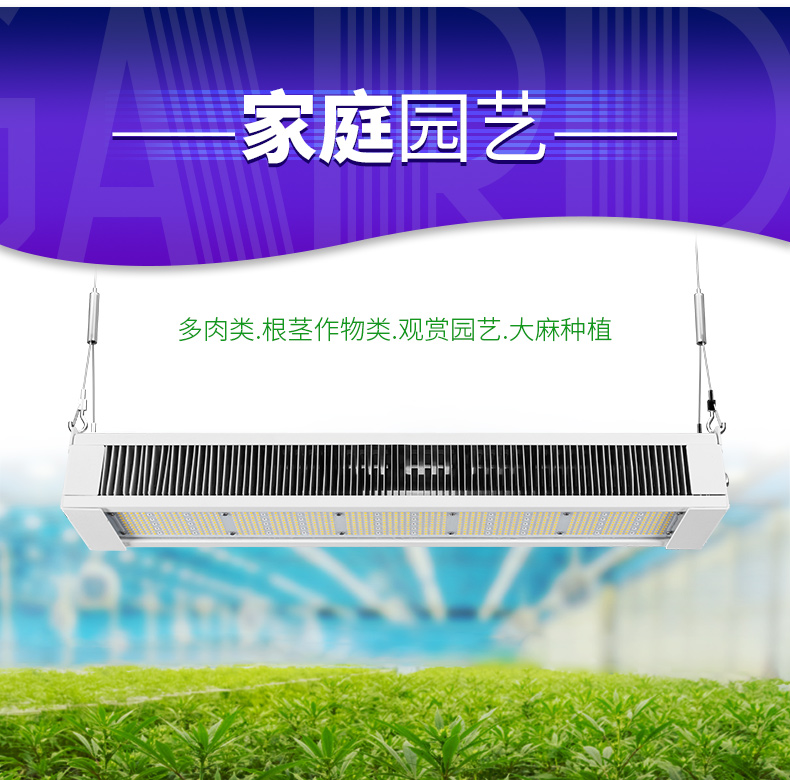 全光谱LED植物灯 家庭园艺 植物工厂大麻专用灯