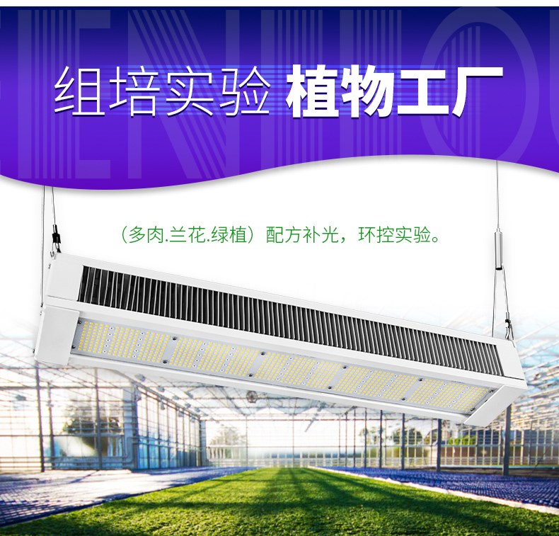 全光谱LED植物灯 家庭园艺 植物工厂大麻专用灯