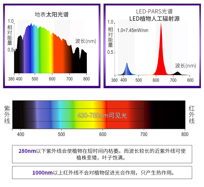全光谱LED植物灯 家庭园艺 植物工厂大麻专用灯