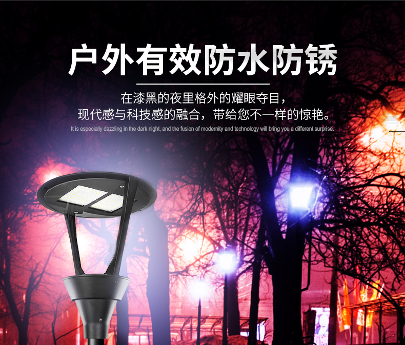 2020新款欧美式大功率 100W 花园别墅灯 LED庭院灯FL-TYD-AEH3