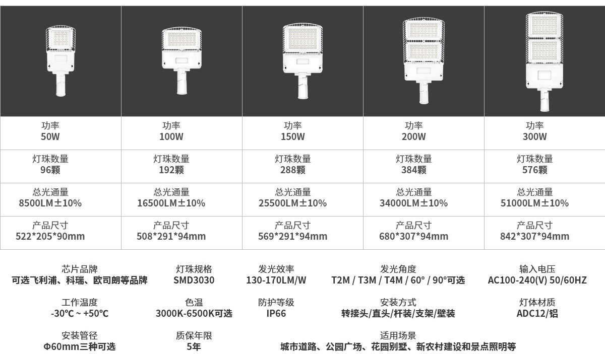 2020新款 光传感器控制 卡扣式安装 LED道路照明灯FL-LD-GLT1