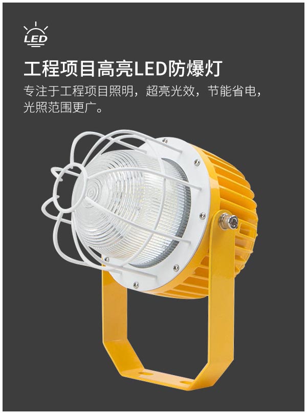 菲龙LED防爆灯仓库厂房车间防爆照明灯隔爆60w,120w工矿灯