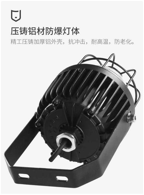 菲龙LED防爆灯仓库厂房车间防爆照明灯隔爆60w,120w工矿灯