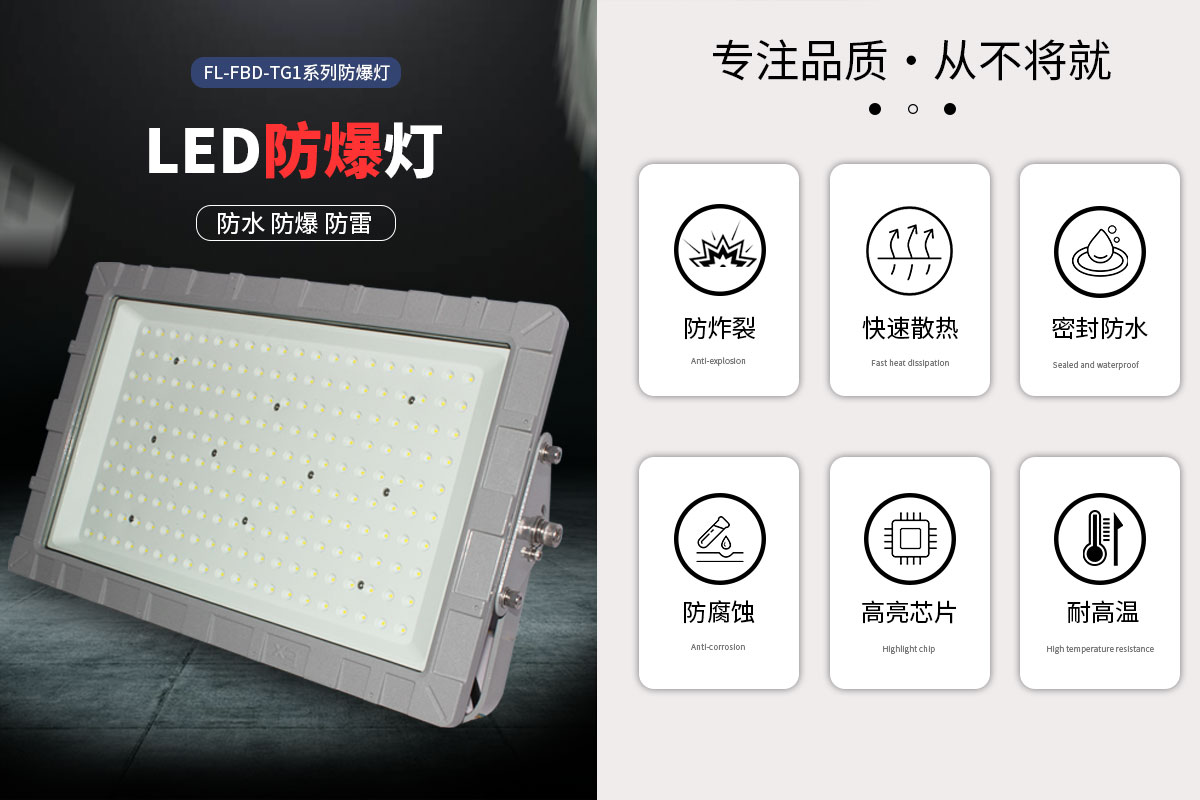 菲龙FL-FBD-TG1 IP67 防爆灯,工业仓库 LED 防爆泛光灯