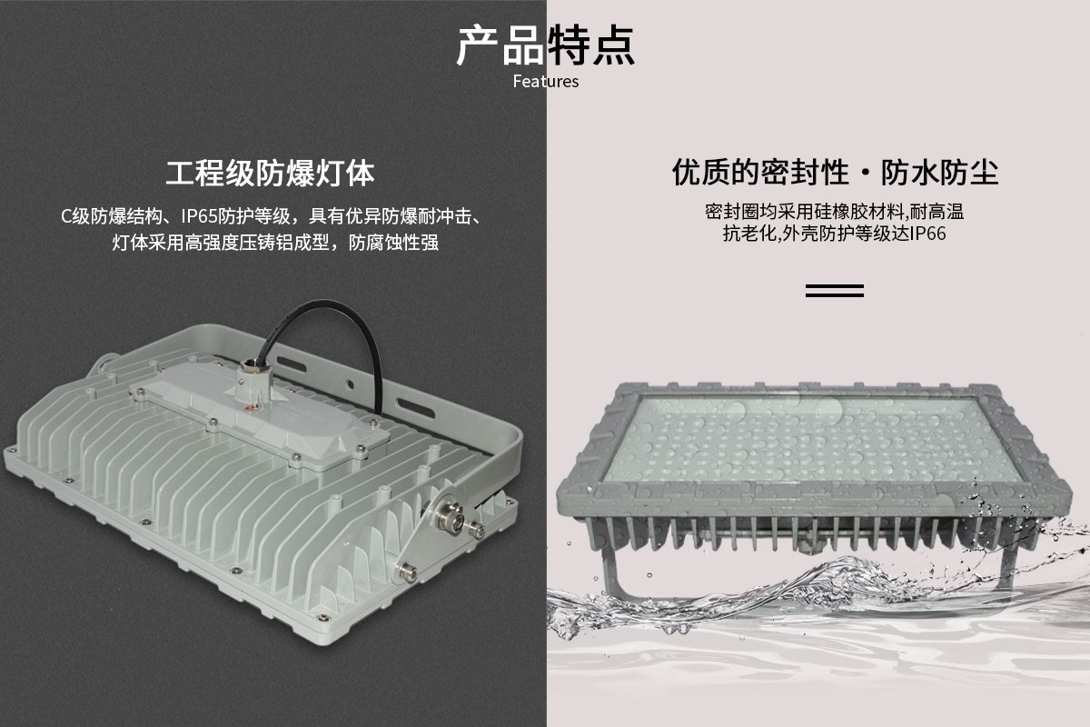 菲龙FL-FBD-TG1 IP67 防爆灯,工业仓库 LED 防爆泛光灯