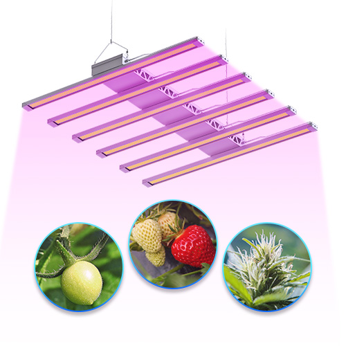 LED 植物灯